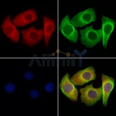 Валидация Affinity DF13218 - 8238