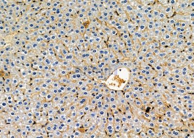 Валидация Affinity DF8759 - 20780