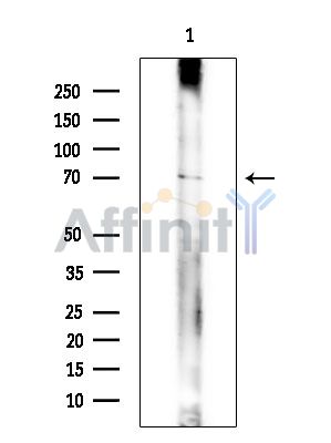 Валидация Affinity DF15836 - 12343
