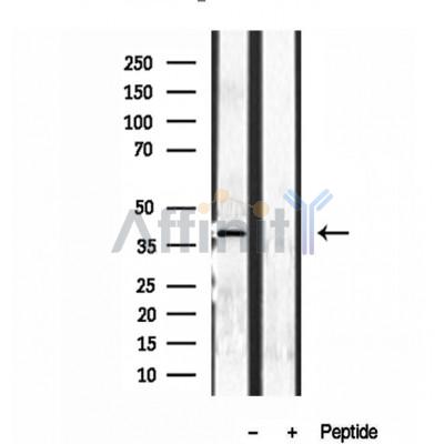Валидация Affinity DF12040 - 6077