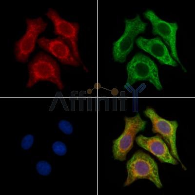 Валидация Affinity DF4804 - 16546