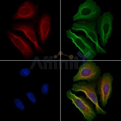 Валидация Affinity AF6041 - 3242