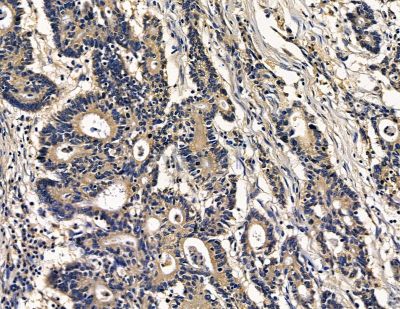 Валидация Affinity DF15764 - 12241