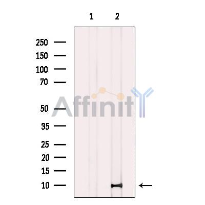 Валидация Affinity AF4022 - 2123