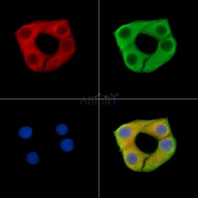 Валидация Affinity DF15255 - 11537