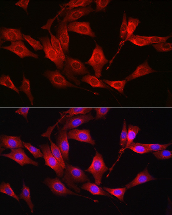 Валидация AssayVector ARM2318(4012)