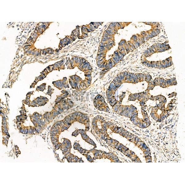 Валидация Affinity AF5247 - 2744