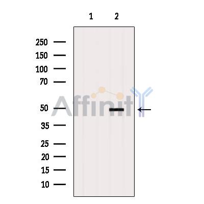 Валидация Affinity DF6629 - 18096