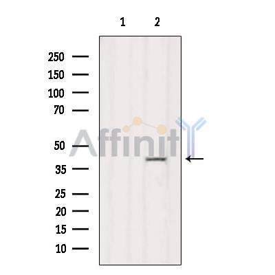 Валидация Affinity DF7367 - 19088
