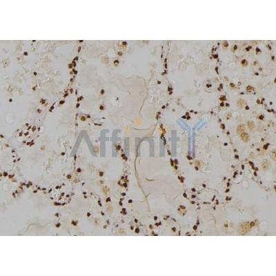 Валидация Affinity DF4836 - 16601