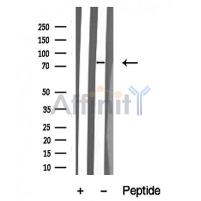 Валидация Affinity DF10340 - 5963