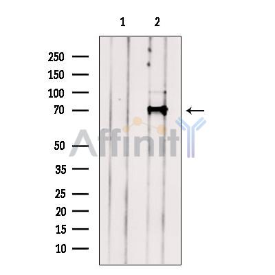 Валидация Affinity DF13709 - 9324