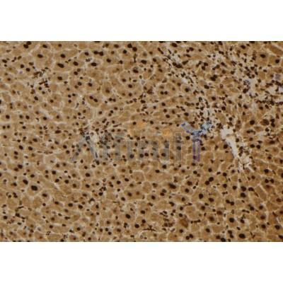 Валидация Affinity DF6098 - 17313