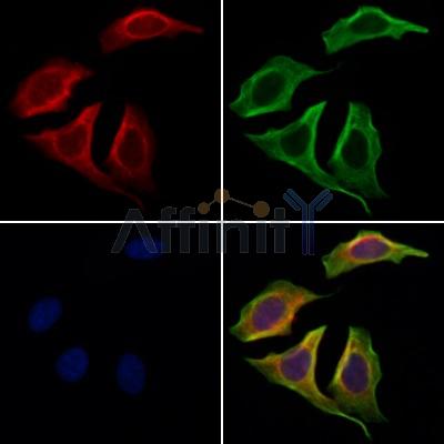 Валидация Affinity DF3507 - 14431