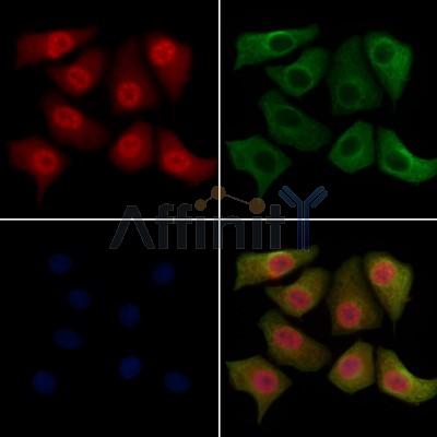 Валидация Affinity AF7817 - 4540