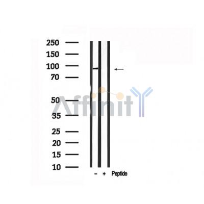 Валидация Affinity AF7530 - 4183
