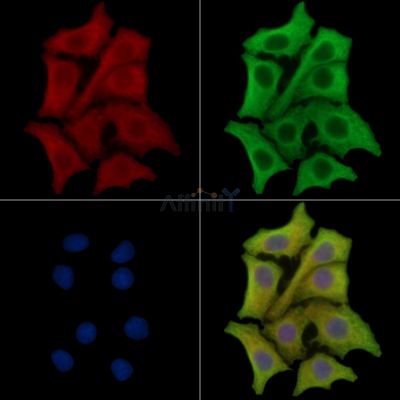 Валидация Affinity DF14939 - 11119