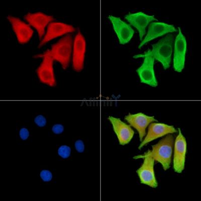 Валидация Affinity DF9412 - 21962