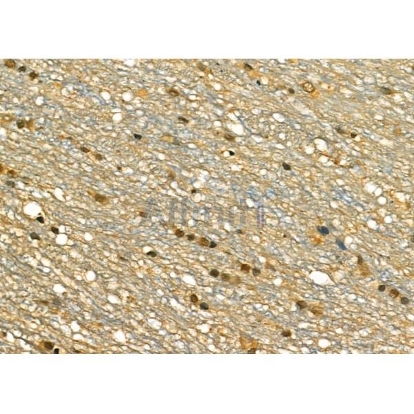 Валидация Affinity DF6529 - 17949