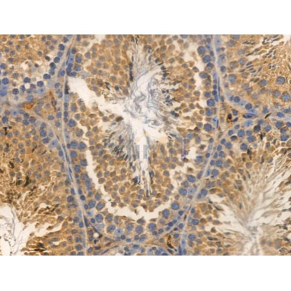 Валидация Affinity DF3964 - 15177