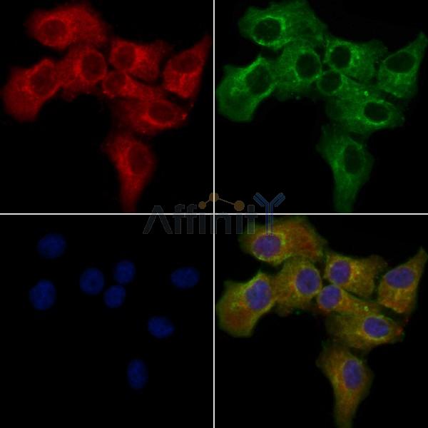 Валидация Affinity DF5058 - 16962