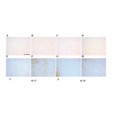 Валидация Affinity DF6127 - 17352