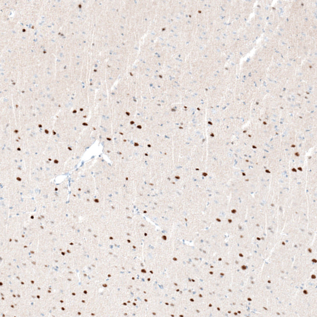 Валидация AssayVector ARM2679(5052)