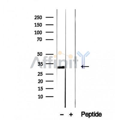 Валидация Affinity DF12271 - 6606