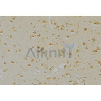 Валидация Affinity AF5490 - 3173