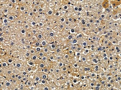 Валидация Affinity DF3755 - 14836