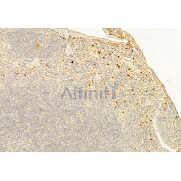 Валидация Affinity AF5376 - 3001