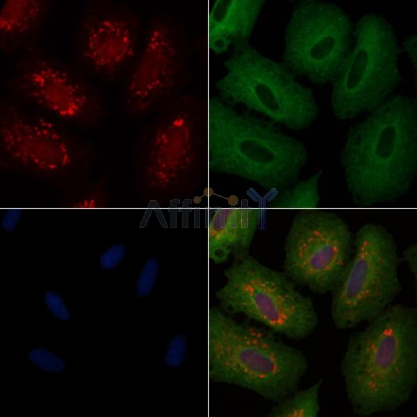 Валидация Affinity DF3864 - 15008