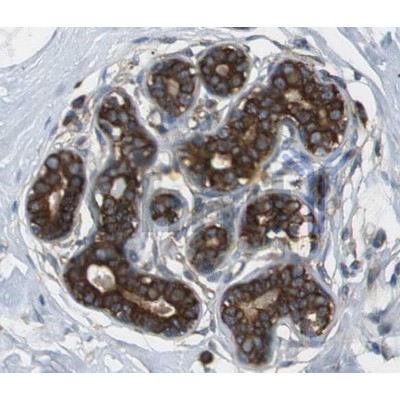 Валидация Affinity AF5102 - 2452