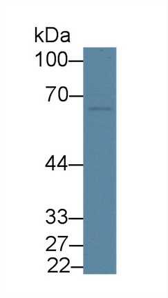 9040