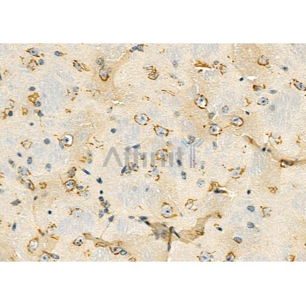 Валидация Affinity DF12376 - 6835