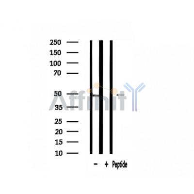 Валидация Affinity DF3706 - 14744