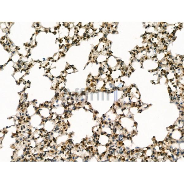 Валидация Affinity DF13252 - 8322