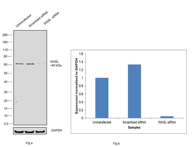 Валидация AssayVector ARM2743(5308)