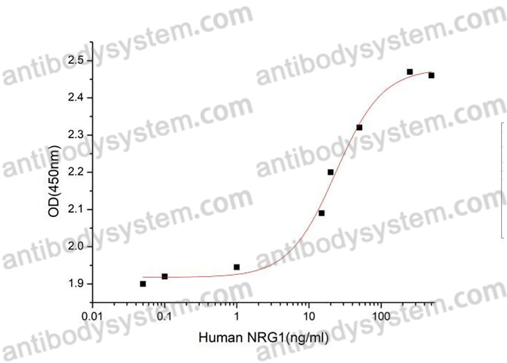 Валидация активности AntibodySystem AHF92902