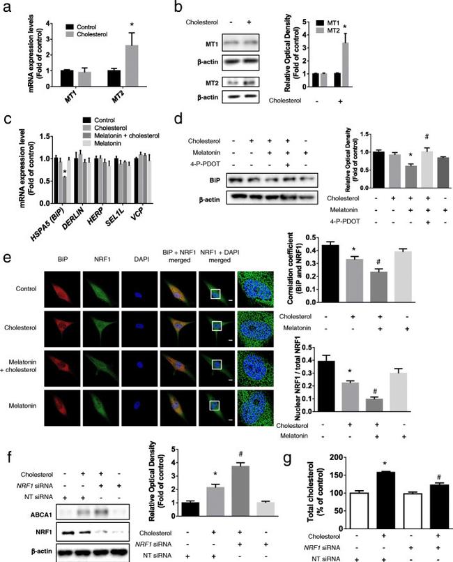 Валидация AssayVector ARM1406(1160)