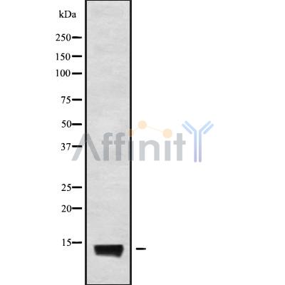 Валидация Affinity DF9662 - 22413
