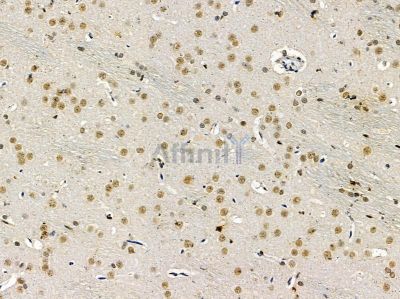 Валидация Affinity DF14525 - 10515