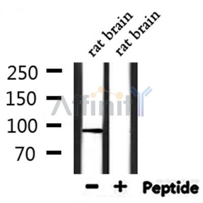 Валидация Affinity DF8624 - 20558