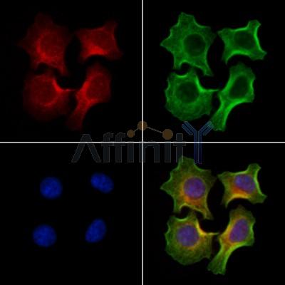 Валидация Affinity AF6334 - 3608