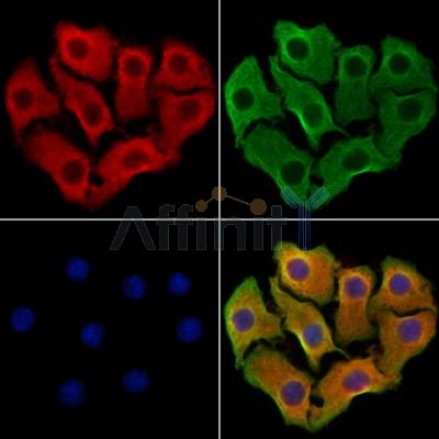 Валидация Affinity DF13312 - 8468