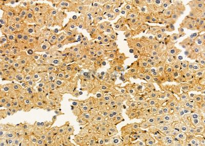 Валидация Affinity DF9188 - 21562