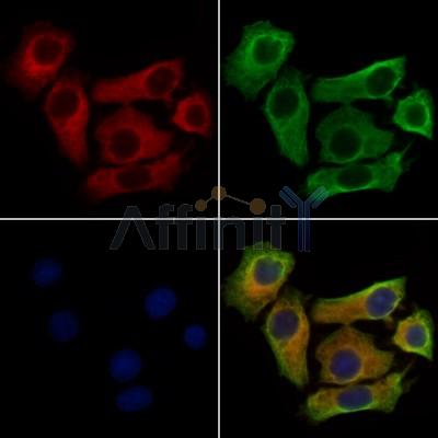 Валидация Affinity DF9909 - 22884