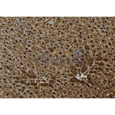 Валидация Affinity DF6801 - 18375