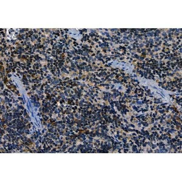 Валидация Affinity AF9009 - 4727