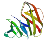 Fc Receptor Like Protein B (FCRLB) Fc Receptor Like Protein B (FCRLB)